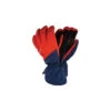 Gants De Ski Dare 2B Hold On Glove II Admiral Homme